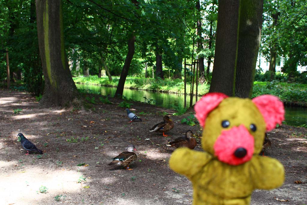  Łazienki Królewskie